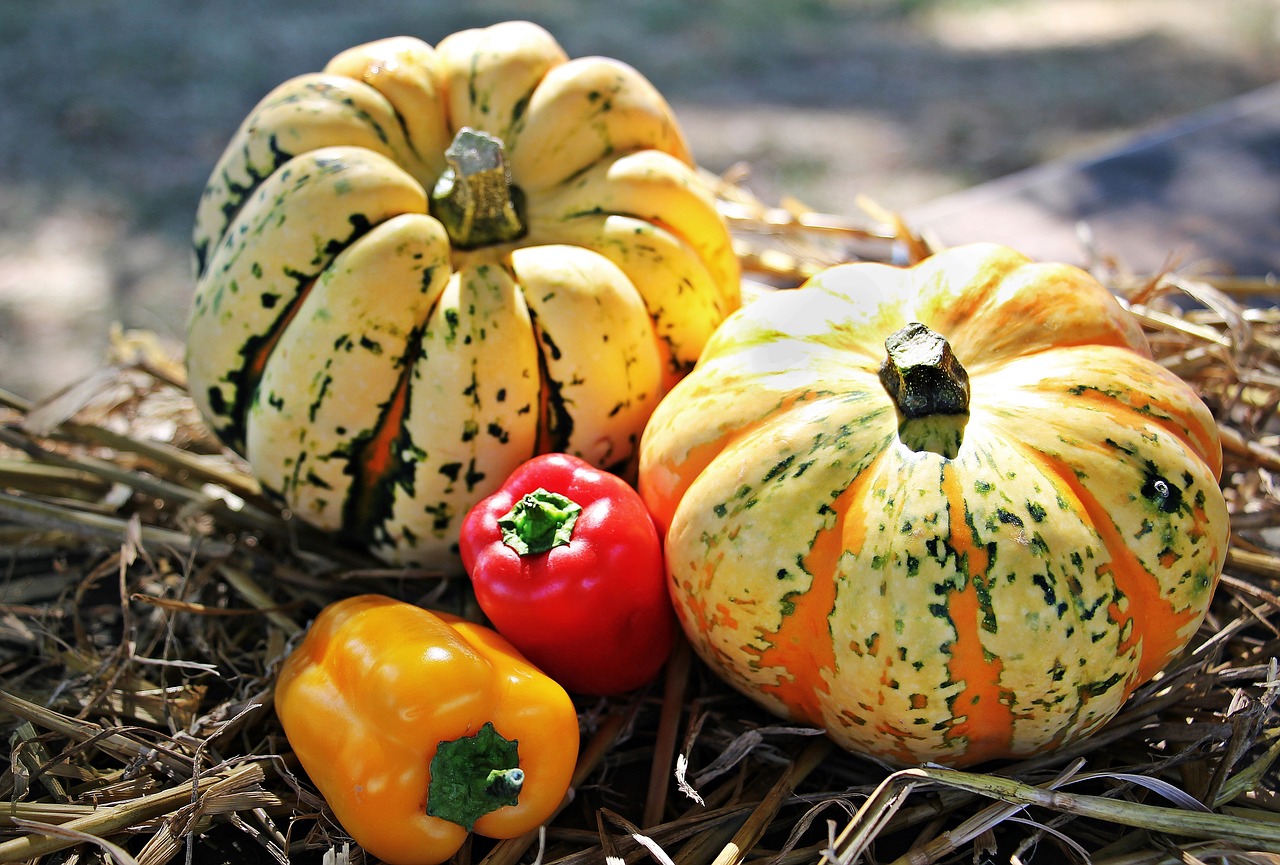 thanksgiving, pumpkins, paprika-1632788.jpg